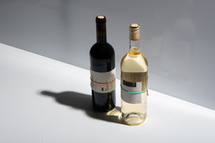 零酒精也能暢飲？探尋即飲型無酒精飲料的新風潮